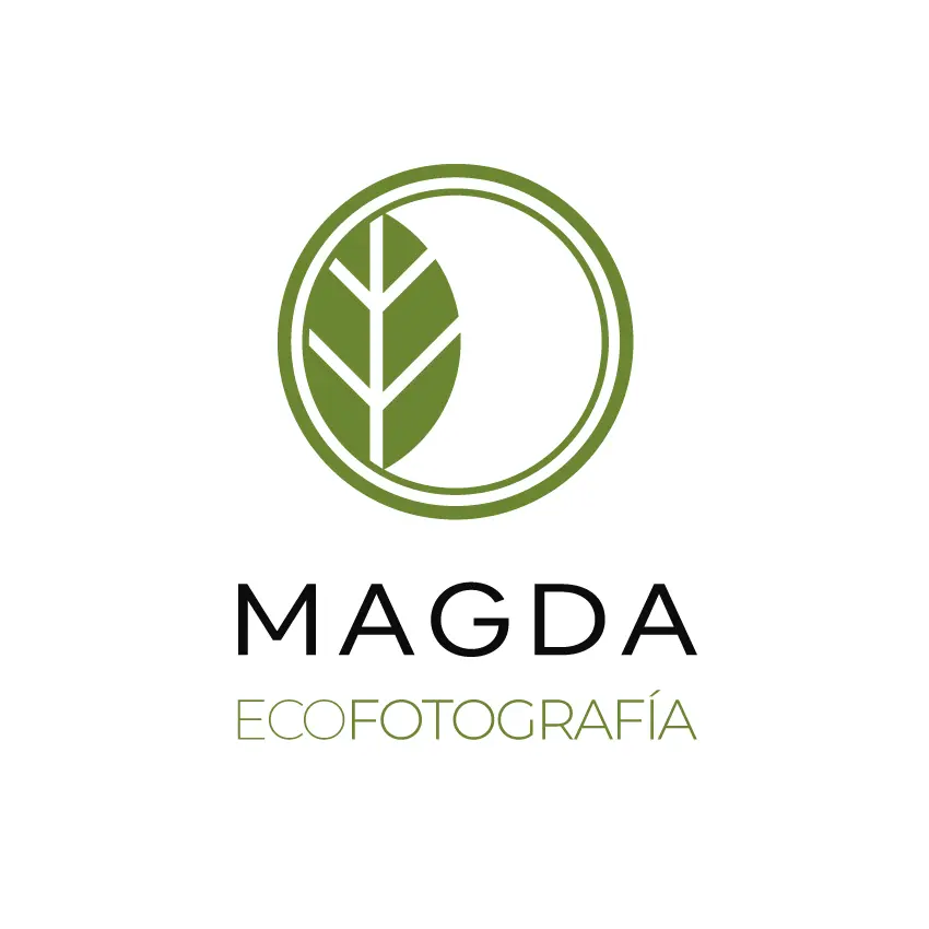 Diseño logo fotografía Diseño de manual de identidad y logotipo