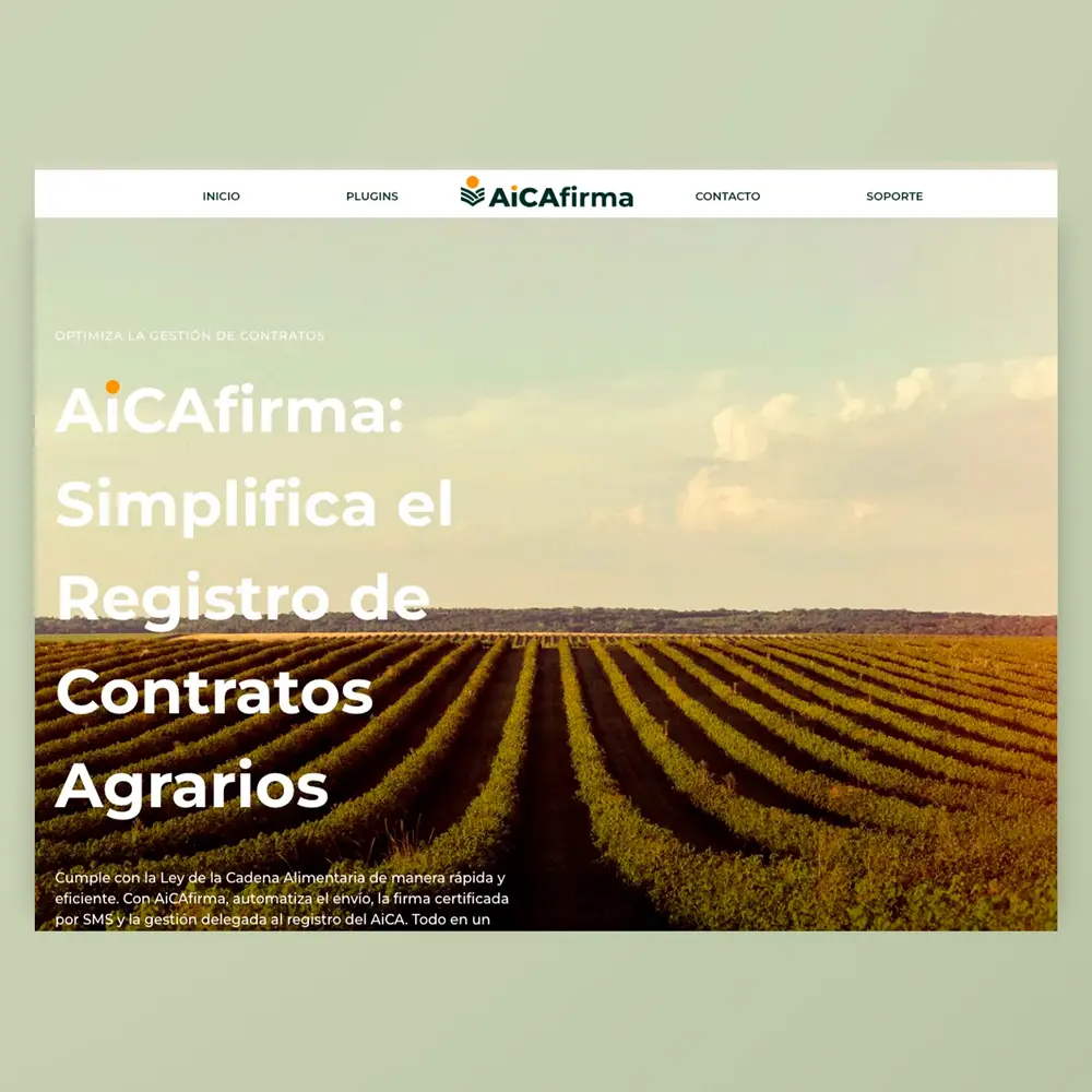 Servicio de diseño web Diseño de página web empresa